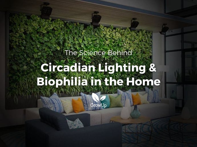 The Science Behind Circadian Lighting & Biophilia in the Home