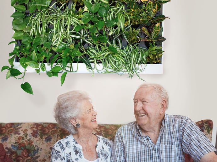 Enhancing Senior Living Spaces with Biophilic Design